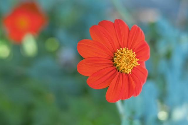世界杯扩军后最精彩一战